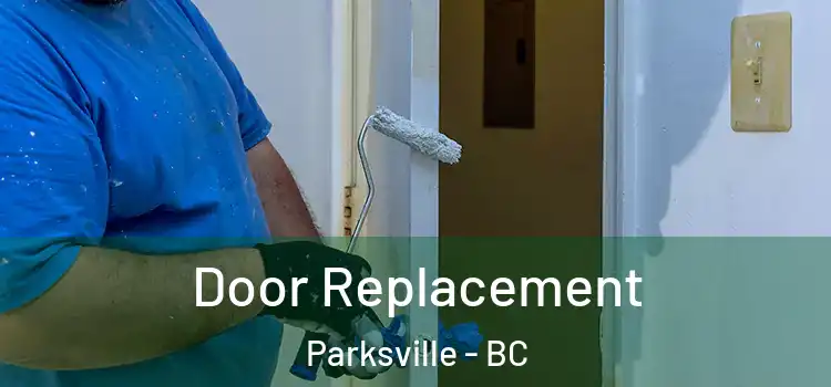  Door Replacement Parksville - BC