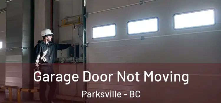  Garage Door Not Moving Parksville - BC