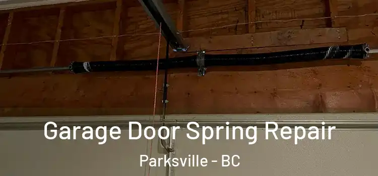  Garage Door Spring Repair Parksville - BC