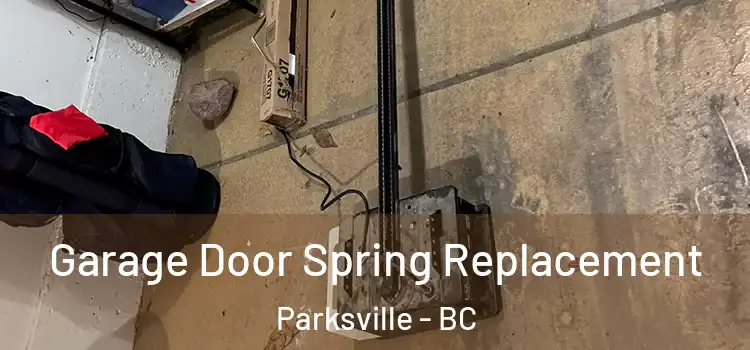  Garage Door Spring Replacement Parksville - BC
