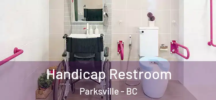 Handicap Restroom Parksville - BC