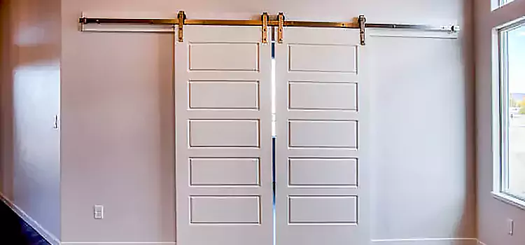 Glass Barn Door with Installation Hardware Kit Parksville