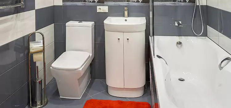 Hansgrohe Shaving Mirror Parksville