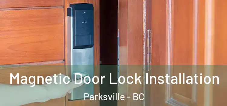  Magnetic Door Lock Installation Parksville - BC