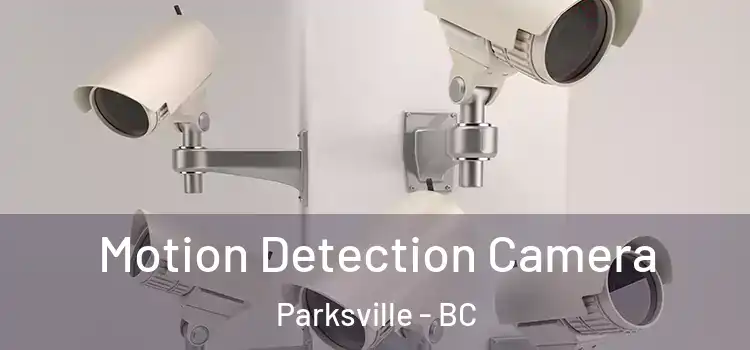  Motion Detection Camera Parksville - BC
