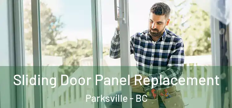  Sliding Door Panel Replacement Parksville - BC